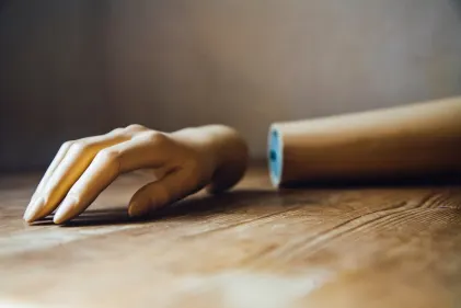 Casino Wild Fortune Mobiilirakendus